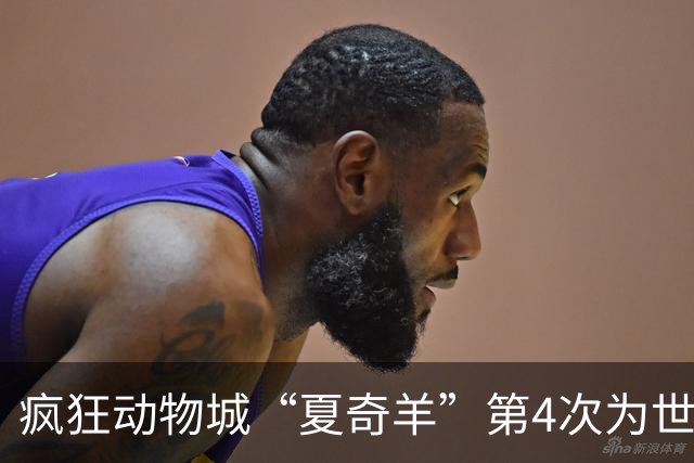 疯狂动物城“夏奇羊”第4次为世界杯开嗓，版税将全捐用于贫困儿童教育